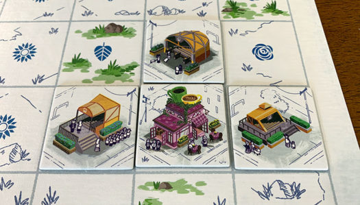 Bloom Town board game